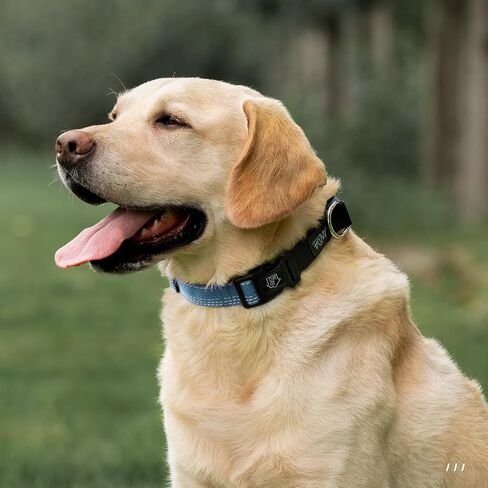 ANDA Martingale Dog Collar with Quick Release Buckle – Adjustable Training No Slip Dog Collar, Daily Use Walking and Training (Chevron Black, Large) in Saudi Arabia