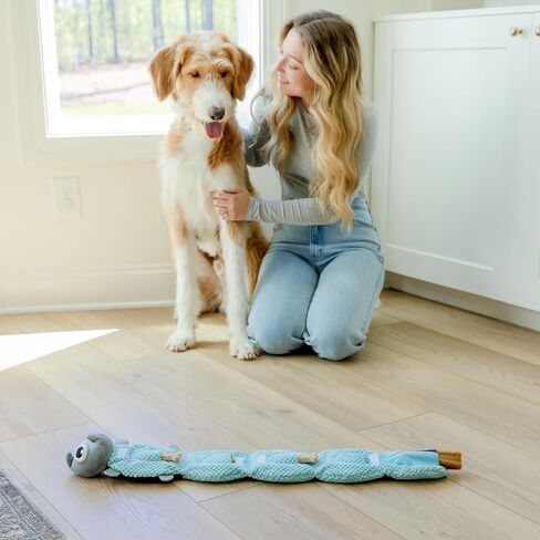 Crinkly Plush Dog Puzzle Toy - Long Tug-of-War Squeaky Dog Boredom Buster Toys with Snack Pockets - Durable Enrichment Mentally Stimulating Toys for Dogs Small, Medium, Large - Squirrel in Saudi Arabia