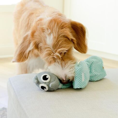 Crinkly Plush Dog Puzzle Toy - Long Tug-of-War Squeaky Dog Boredom Buster Toys with Snack Pockets - Durable Enrichment Mentally Stimulating Toys for Dogs Small, Medium, Large - Squirrel in Saudi Arabia