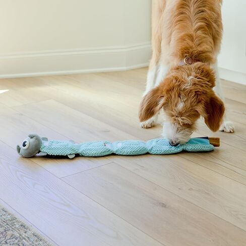 Crinkly Plush Dog Puzzle Toy - Long Tug-of-War Squeaky Dog Boredom Buster Toys with Snack Pockets - Durable Enrichment Mentally Stimulating Toys for Dogs Small, Medium, Large - Squirrel in Saudi Arabia
