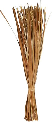 Deco 79 Dried Plant Natural Foliage, 9" x 6" x 41", Brown in Saudi Arabia