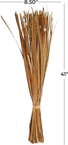 Deco 79 Dried Plant Natural Foliage, 9" x 6" x 41", Brown in Saudi Arabia