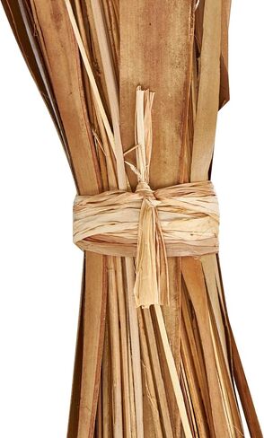 Deco 79 Dried Plant Natural Foliage, 9" x 6" x 41", Brown in Saudi Arabia