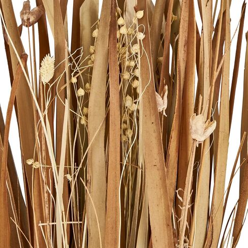 Deco 79 Dried Plant Natural Foliage, 9" x 6" x 41", Brown in Saudi Arabia