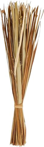 Deco 79 Dried Plant Natural Foliage, 9" x 6" x 41", Brown in Saudi Arabia