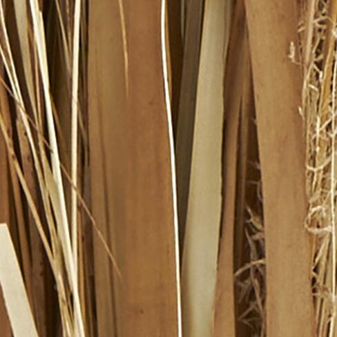 Deco 79 Dried Plant Natural Foliage, 9" x 6" x 41", Brown in Saudi Arabia