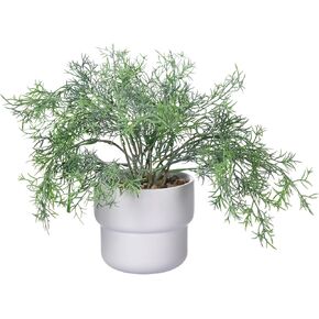 Artificial Potted Asparagus Fern with White Ceramic Pot Asparagus Setcreasea for Indoor Office Bathroom Home Décor