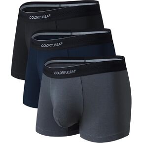 COLORFULLEAF Mens Underwear Bamboo Rayon Short Boxer Briefs for Men Soft Tagless Stretch Trunks Underpants