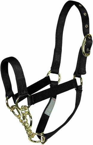 Hamilton Cow Control Nylon Halter with Chain, 10-Inch, Black in Saudi Arabia