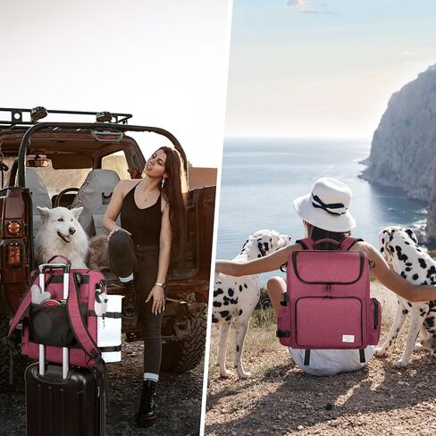 وعاء للكلاب قابل للطي، عبوتان، وعاء بديل قابل للطي للسفر للكلاب، سعة 650 مل، وعاء طعام محمول للكلاب مزود بمشبك، طبق كوب لإطعام القطط الأليفة للسفر والمشي والمشي لمسافات طويلة (أزرق + برتقالي) in Kuwait