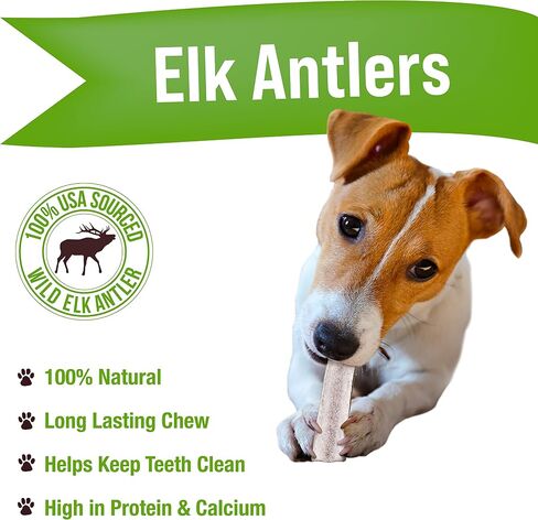 Buck Bone Organics Dog Chews, Elk Antlers for Dogs, Long Lasting Dog Bones for Aggressive Chewers, All Natural, No Preservatives, Wild Shed in The USA (Large 2 Pack) in Saudi Arabia