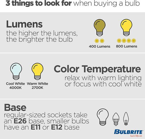 Bulbrite 705140 Light Bulb, 1 Count (Pack of 1), Clear in Saudi Arabia