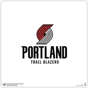 Trends International Gallery Pops NBA Portland Trail Blazers - Global Logo Wall Art Wall Poster, 12" x 12", Black Framed Version