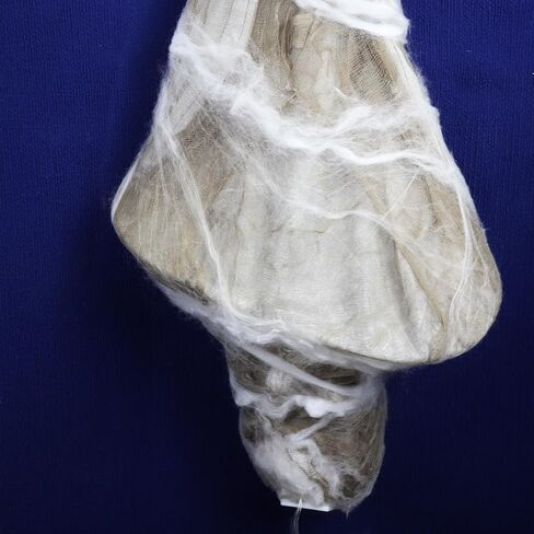 Needzo Cocoon Corpse, LED Light Up Halloween Hanging Decorations, Realistic and Spooky Haunted House, 15 Inches in Saudi Arabia