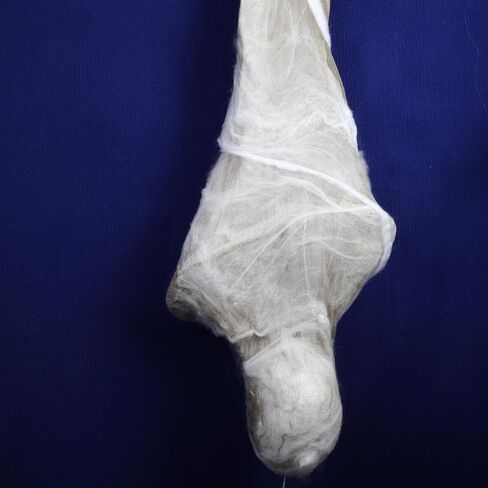 Needzo Cocoon Corpse, LED Light Up Halloween Hanging Decorations, Realistic and Spooky Haunted House, 15 Inches in Saudi Arabia