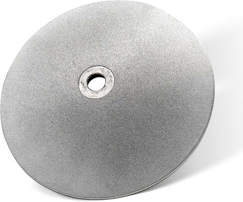 Double-Sided CBN Grinding Disk for WS3000, for Sharpening Woodworking Tools、High Speed Steel Tools (80/180 Grit) in Kuwait