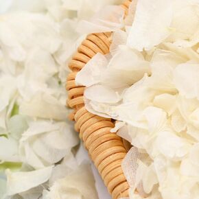 Dried Real Hydrangea Petals, Natural Preserved Dry Flower Petals for Wedding Party Dinner Table Decor, Romantic Night for Her Set, Engagement, Bridal Shower, Valentine's Day, Confetti (0.7oz, White)
