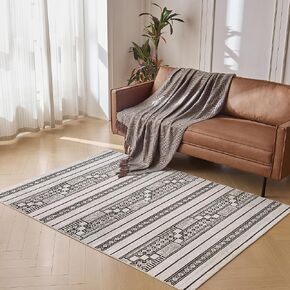 Area Rugs for Bedroom Living Room, 5x7 Dark Grey Fluffy Fuzzy Shag Shaggy Carpet Soft Plush Furry Bedside Rug, Indoor Floor Rug for Kids Girls Boys Home Decor Aesthetic, Dorm Dark Grey