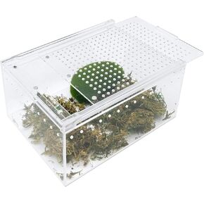 Acrylic Reptile Terrarium Enclosure 9.8" x 5.9" x 5.9" Magnetic Tarantula Breeding Box Transparent Insect Habitat for Jumping Spider Hermit Crab Lizard Sling Isopods Horned Frog Snake Gecko