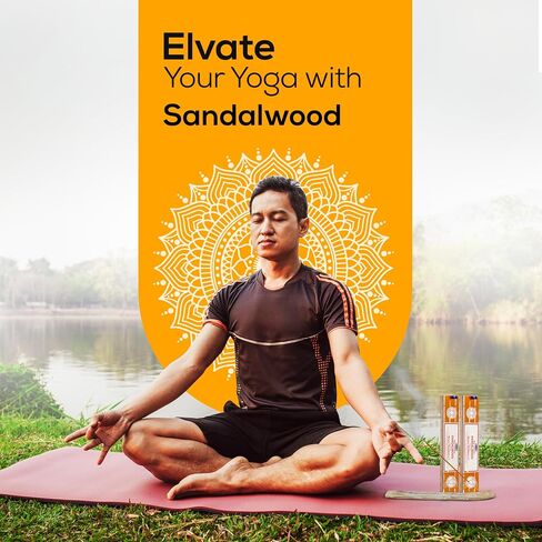 Satya Palo santo Incense Sticks, Satya sai baba Insenses 15gmx3 (45 gm) pack with Raajsee Incense holder Bundle, Satya Nag champa Natural Incense in Saudi Arabia