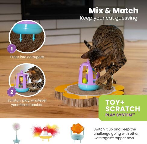 Catstages Cat Tunnel Scratcher with Feather Spring Toy and Removable Tunnel, Mlt in Saudi Arabia