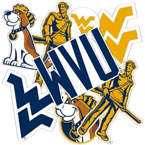 Desert Cactus West Virginia University Stickers WVU Mountaineers Stickers Vinyl Decals Laptop Water Bottle Car T2 (Type 2-2)