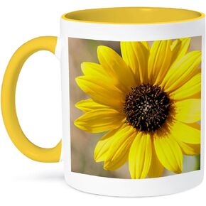 3dRose USA, Kansas Sunflower, Yellow Mug, 11 oz