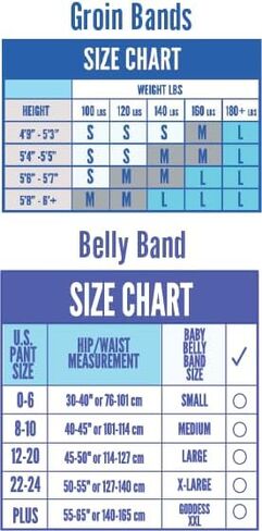 Baby Belly Band - Pregnancy & Maternity Belt With Medium Compression Groin Band - For Back, Hernia, and Pelvic Floor Pain - Medium in Saudi Arabia