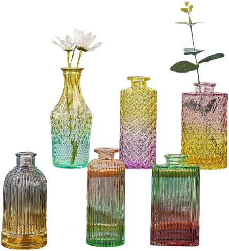 Vintage Glass Vases，Colored Small Glass Vases for Centerpieces,Boho Flower Vase Set of 5 Decorative Small Vases(English) in Saudi Arabia