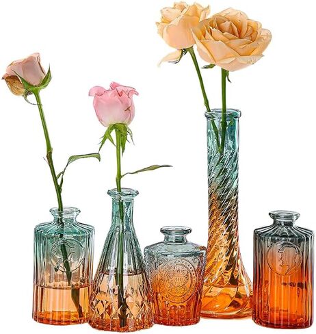 Vintage Glass Vases，Colored Small Glass Vases for Centerpieces,Boho Flower Vase Set of 5 Decorative Small Vases(English) in Saudi Arabia