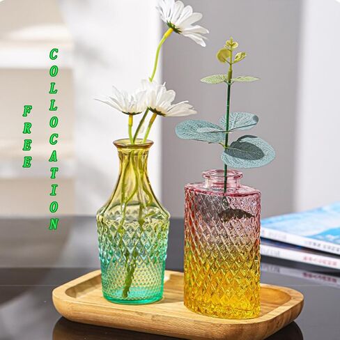 Vintage Glass Vases，Colored Small Glass Vases for Centerpieces,Boho Flower Vase Set of 5 Decorative Small Vases(English) in Saudi Arabia