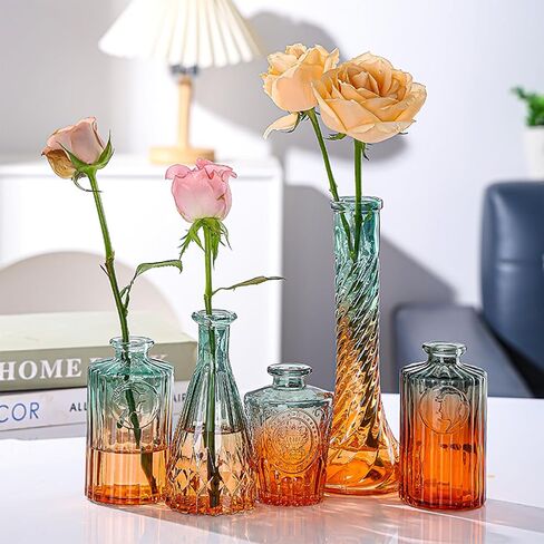 Vintage Glass Vases，Colored Small Glass Vases for Centerpieces,Boho Flower Vase Set of 5 Decorative Small Vases(English) in Saudi Arabia