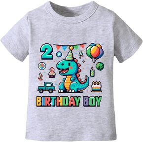 2nd Birthday Tee Shirt Toddler Boy Two Year Old Birthday Tshirt Outfit