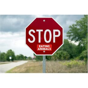 2x Stop Eating Animals Vegans Animal Lover Vinyl Sticker Addition for Any Stop Road Traffic Sign 8.5" x 3.5"