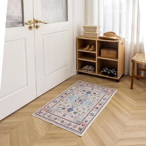 KEKUOU Area Rug 2x4 Washable Rug，Non Slip Water Repellent Floor Carpet for Entryway, Kitchen, Front Door Indoor Entrance, Entry, Kids Room(2'* 4'，Blue/Multi)