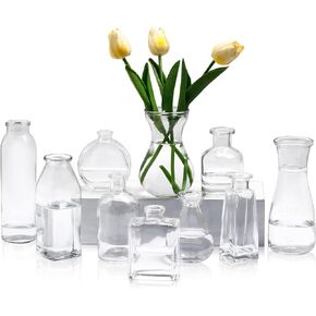 10 Pieces Glass Bud Vase Set, Mini Bulk Clear Flower Vase for Centerpiece Bouquets Home Table Decor Wedding Bridal Shower Decorations