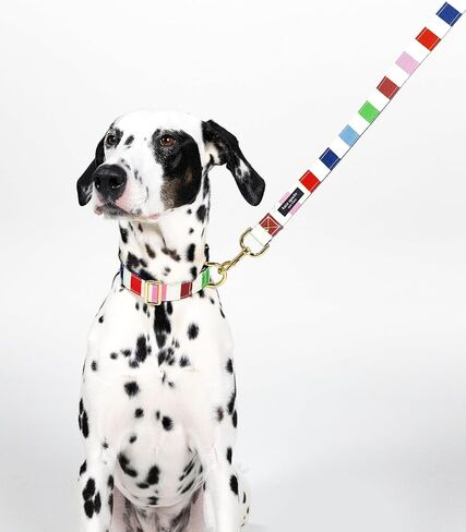 Kate Spade New York 6ft Dog Leash, Heavy Duty Leash for Female or Male Dogs, Cute Pet Leash with Gold Metal Hardware, Long Dog Lead for Medium and Large Breeds, Art Dot in Saudi Arabia