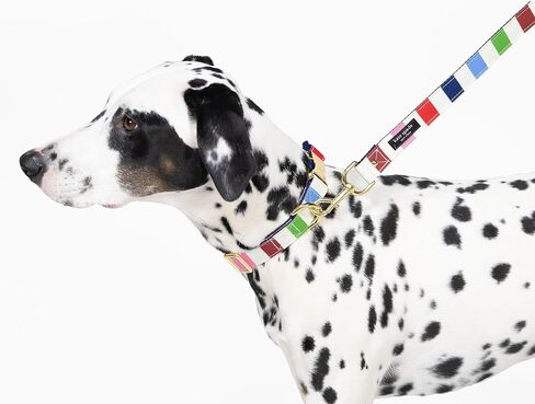 Kate Spade New York 6ft Dog Leash, Heavy Duty Leash for Female or Male Dogs, Cute Pet Leash with Gold Metal Hardware, Long Dog Lead for Medium and Large Breeds, Art Dot in Saudi Arabia