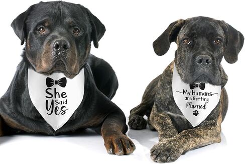 2 Pack Will You Marry My Daddy She Said Yes Dog Bandana Wedding White Dog Bandana Engagement Announcement Pet Scarf Accessories for Dog Lovers Bridal Shower Gift in Saudi Arabia