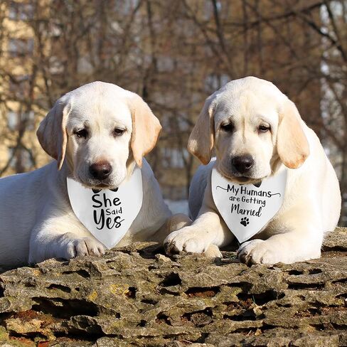 2 Pack Will You Marry My Daddy She Said Yes Dog Bandana Wedding White Dog Bandana Engagement Announcement Pet Scarf Accessories for Dog Lovers Bridal Shower Gift in Saudi Arabia