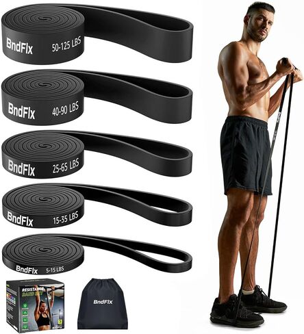 Resistance Bands Set, Exercise Workout Bands for Fitness Training, 5-125 lbs, Includes Pull Up Assist Bands, Carrying Bag Gray in Saudi Arabia