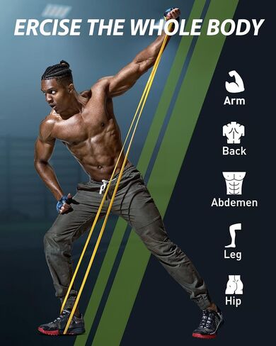 Resistance Bands Set, Exercise Workout Bands for Fitness Training, 5-125 lbs, Includes Pull Up Assist Bands, Carrying Bag Gray in Saudi Arabia