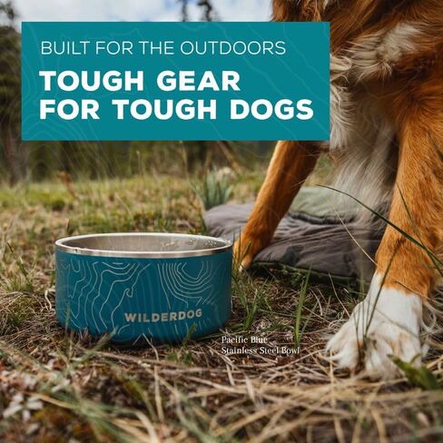 Wilderdog Stainless Steel Dog Bowl with Extra Durable Kitchen-Grade BPA-Free Stainless Steel with Non-Slip Rubber Ringed Bottom (Pacific Blue, 16 oz) in Saudi Arabia