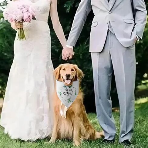 هدايا الخطوبة، YUDANSI Engagement Dog Bandanas 2 Pack، وشاح الحيوانات الأليفة الزفاف، بلدي البشر يتزوجون هدية لمحبي الكلاب، الدعائم الخطوبة لفستان الكلب، كلب صغير متوسط ​​الحجم كبير الحجم in Kuwait