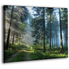 CARANGA Green Pine Tree Canvas Wall Art 16x24 Nature Pictures Canvas Artwork Foggy Morning Road in The Forest Wall Decor Living Room Bathroom Bedroom (Forest, 16x24 inch)