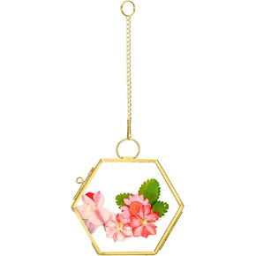 Small 5.71" x 5.91" Clear Glass Display Frame for Picture,Double Glass Frame for Pressed Flowers,Clear DIY Vintage Artwork Display Frame Wall Mounted Photos Fram (Gold)