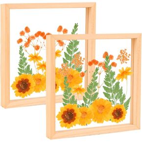 Floating Pressed Flowers Frames, 2 Pack 8 x 8 Inch Double Acrylic Dried Pressed Flower Frames Wooden Photo Frame for pressed flowers DIY Wall and Tabletop Display Decorations Gifts