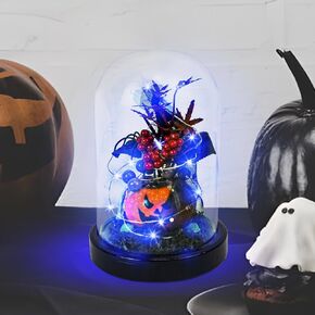 Halloween Decor, Light Up Halloween Pumpkin Spider Bat Berries in Glass Dome Cloche, Spooky Pumpkins Lighted Glass Display Cloche for Home Kitchen Shelf Tabletop Party Decor