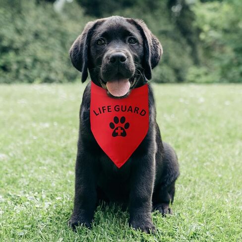 Just Adopted Dog Bandana Adopt Me Bandana Funny Dog Bandana Puppy Bandana Triangle Bibs Scarf Accessories for Small Medium Dogs Pets in Saudi Arabia