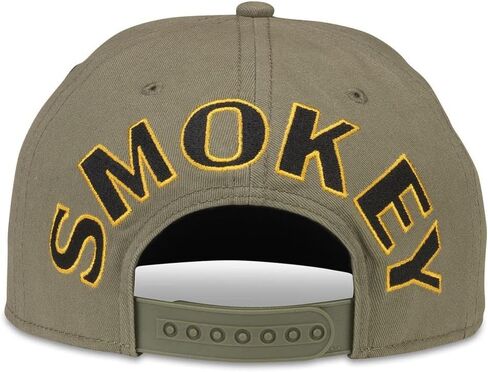AMERICAN NEEDLE Smokey The Bear Patch Unisex Adjustable Snapback Baseball Hat in Saudi Arabia